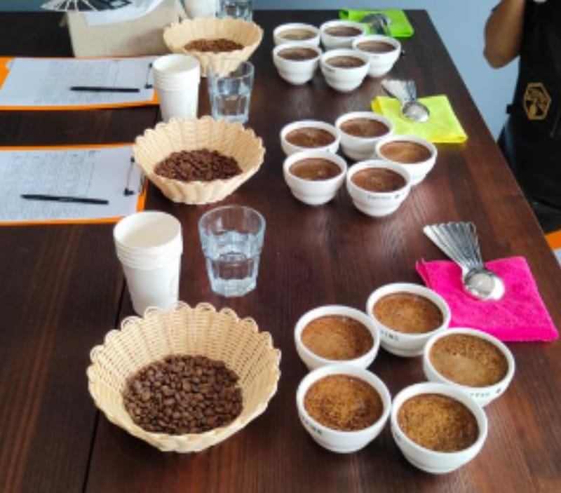 Penilai Mutu Kopi Luwak